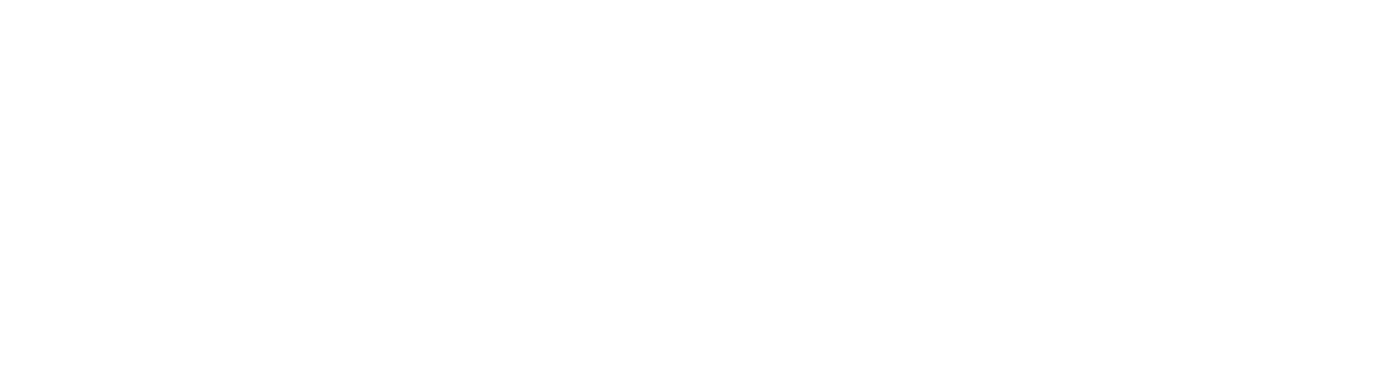 Tian Zevon logo