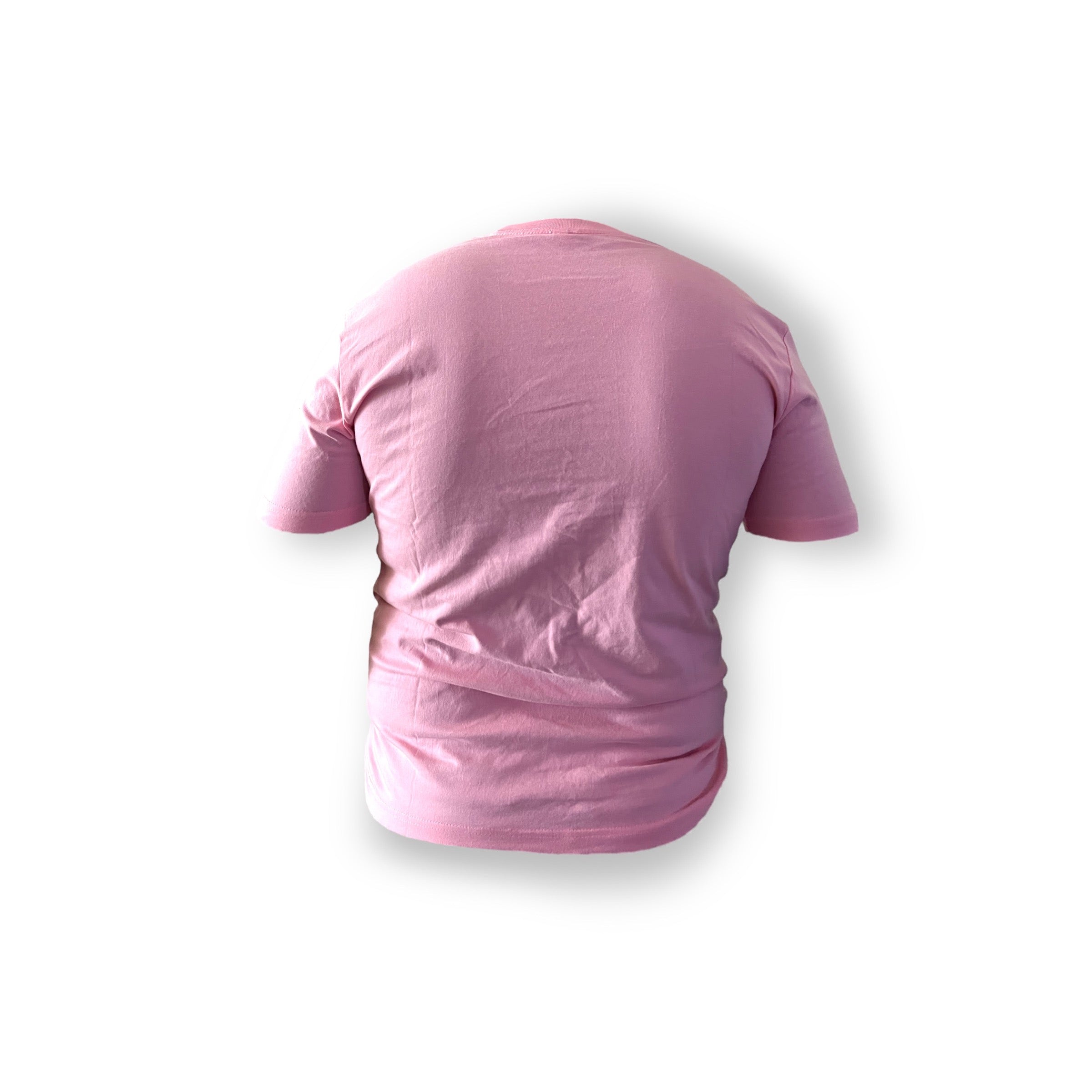 Embroidered Tian Zevon Shirt- Pink