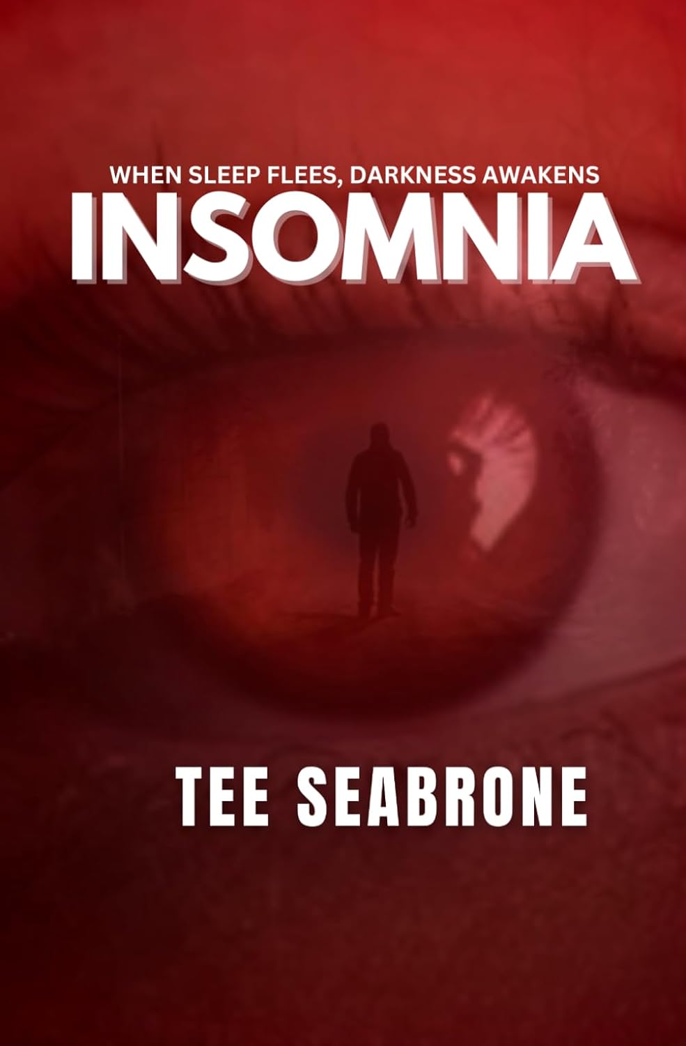 Insomnia Edition 1- Tee Seabrone Novel